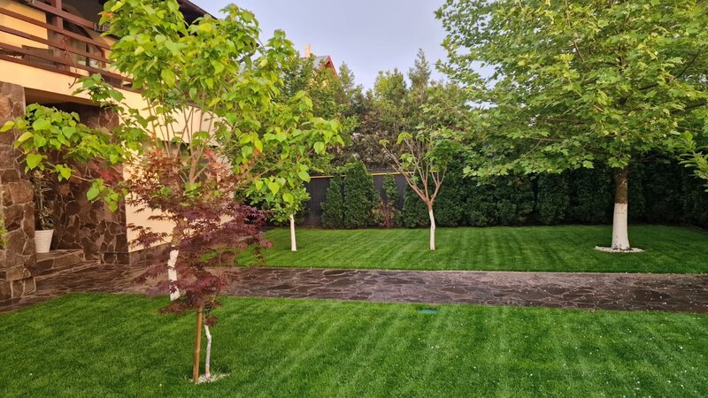 Fundulea, vila 185 mp cu teren 4000 mp, potential dezvoltare imobiliara