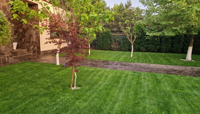 Fundulea, vila 185 mp cu teren 4000 mp, potential dezvoltare imobiliara