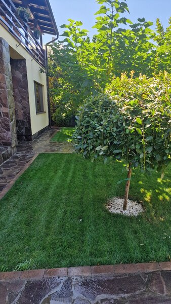 Fundulea, vila 185 mp cu teren 4000 mp, potential dezvoltare imobiliara